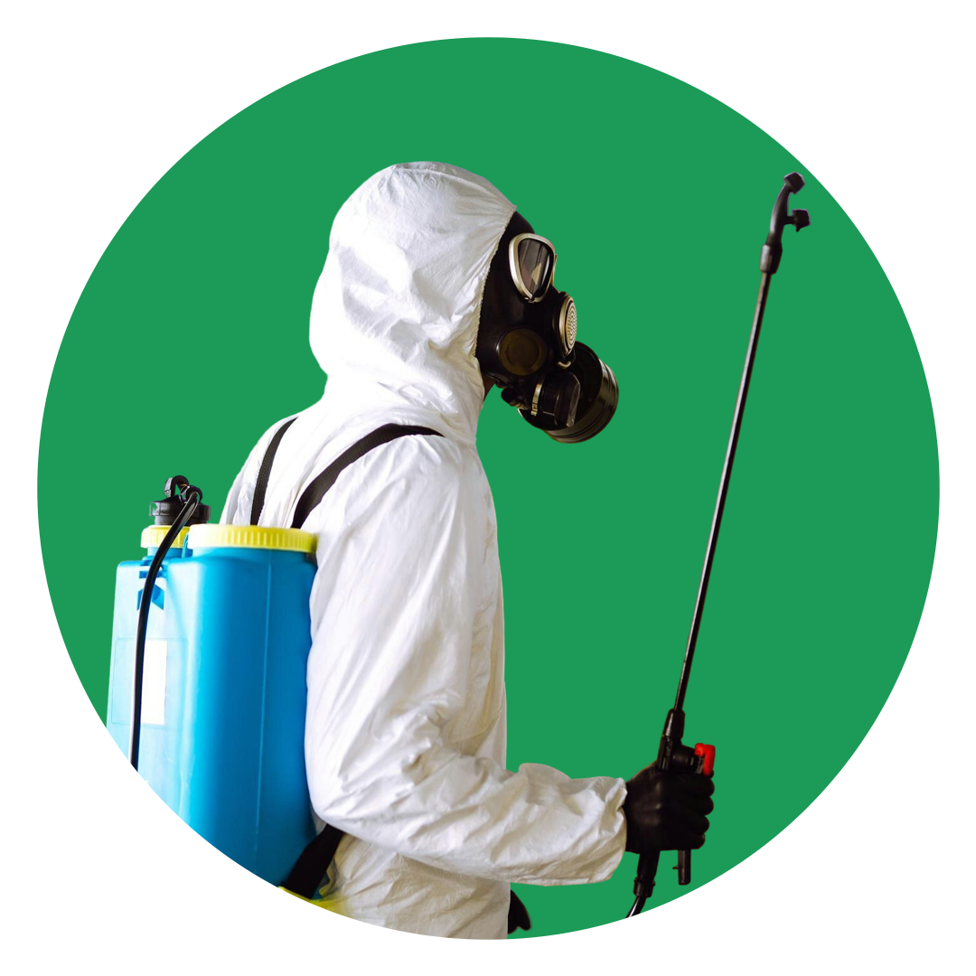 hero-img-jeevni-pest-control